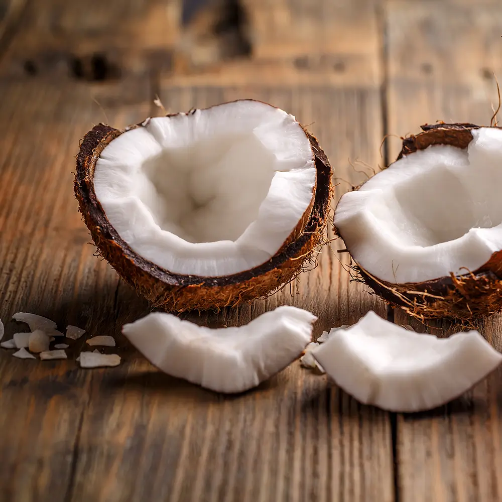 Fruta Coco - Tribe Açaí